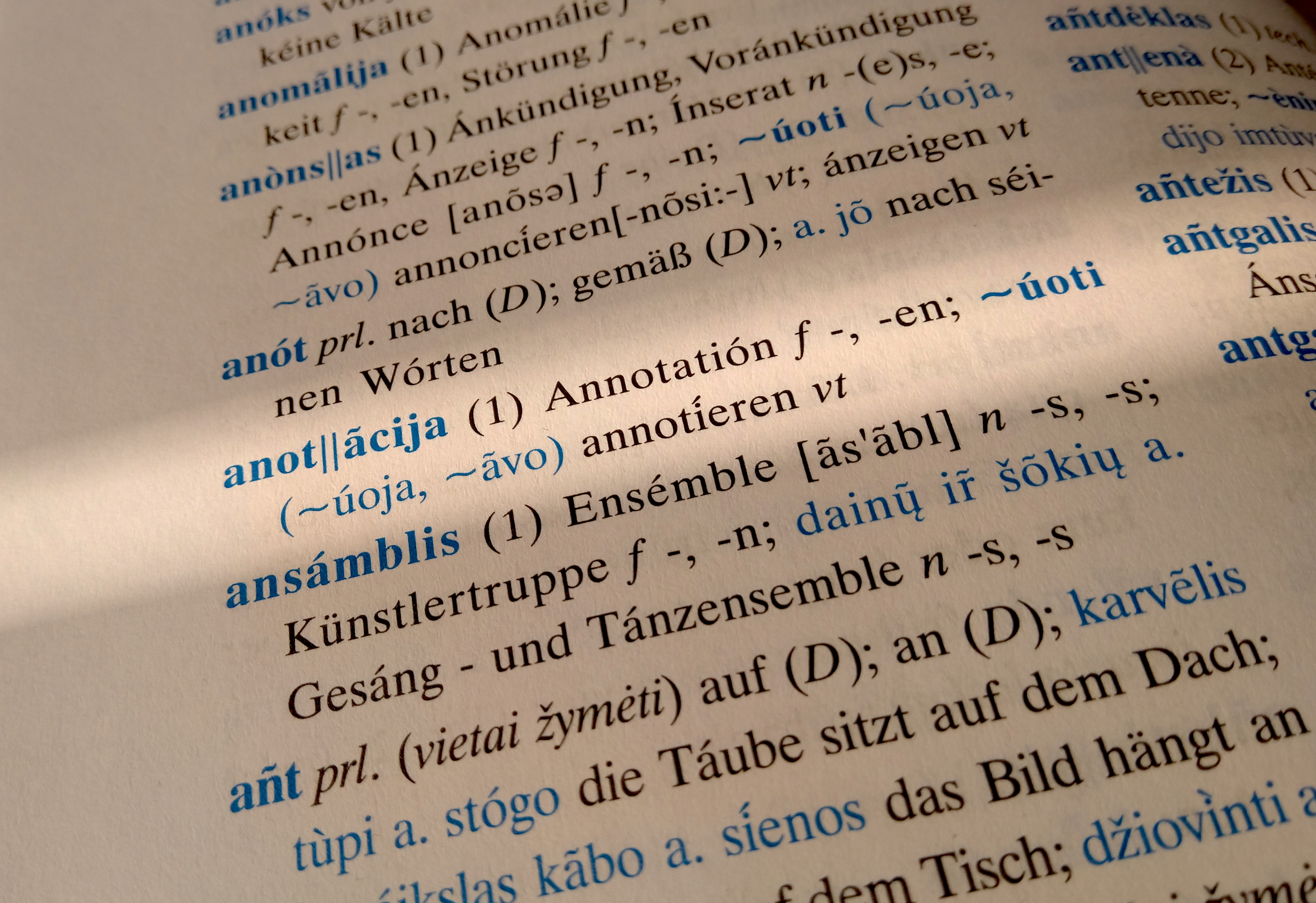 Wörterbucheintrag Anotacija