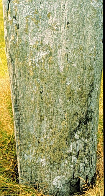 Fig. 055, 003 