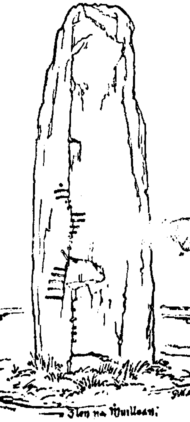 Fig. 064, w01 