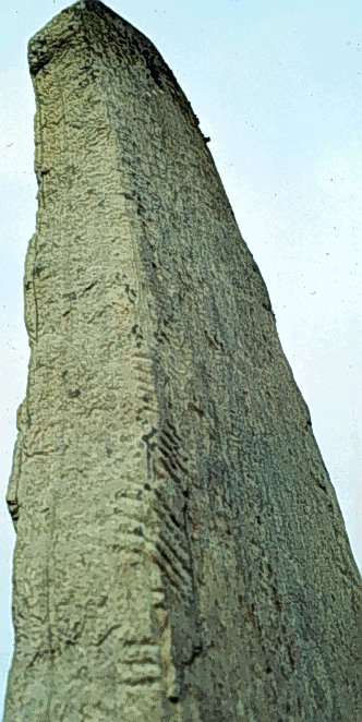 Fig. 066, 005 
