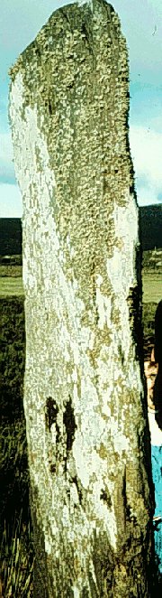 Fig. 067, 003 