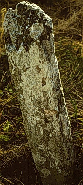 Fig. 068, 002 