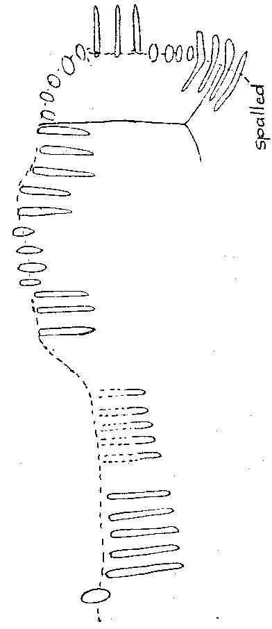 Fig. 214, w01 