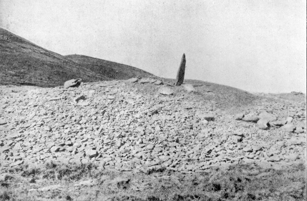 Fig. 234, 001 