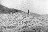 Fig. 234, 001 