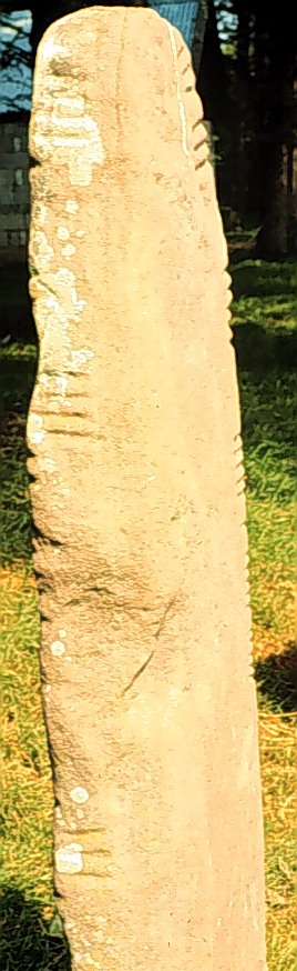 Fig. 250, 002 