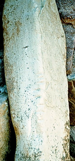 Fig. 265, 002 