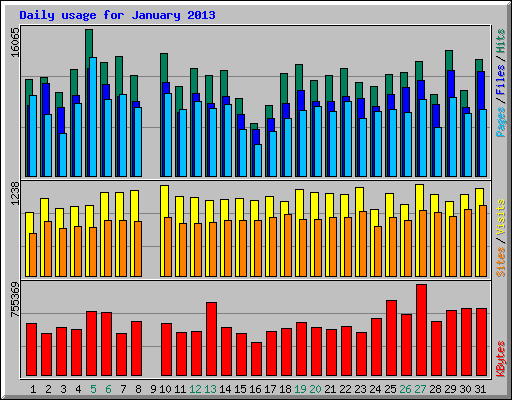 Daily usage for January 2013
