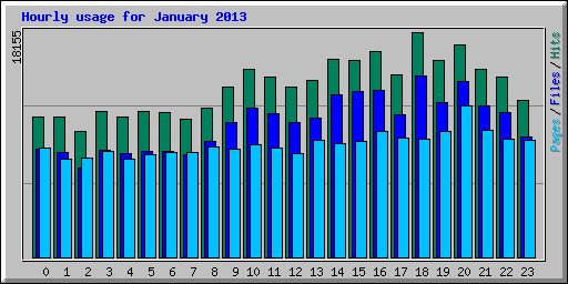 Hourly usage for January 2013