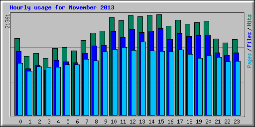 Hourly usage for November 2013